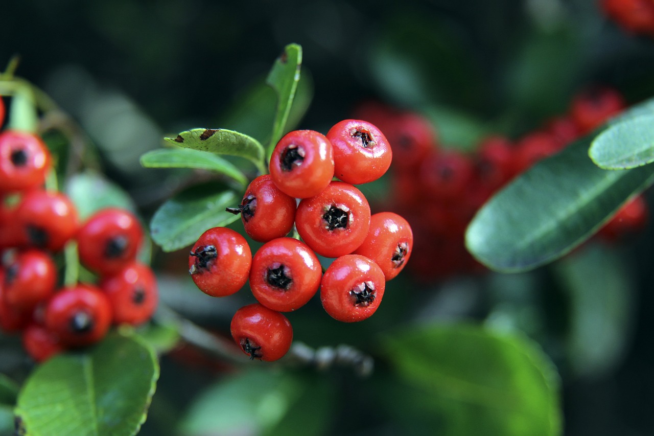 市场再次掀 市场再次掀