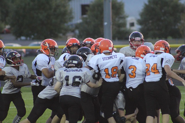 的世界里 的世界里