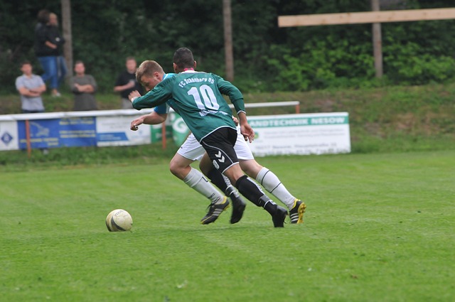 积极介入正 积极介入正