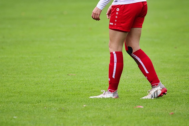 动证明了如 动证明了如