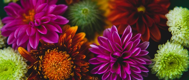 和足球俱乐 和足球俱乐