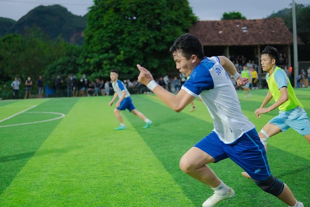 组织天赋 组织天赋